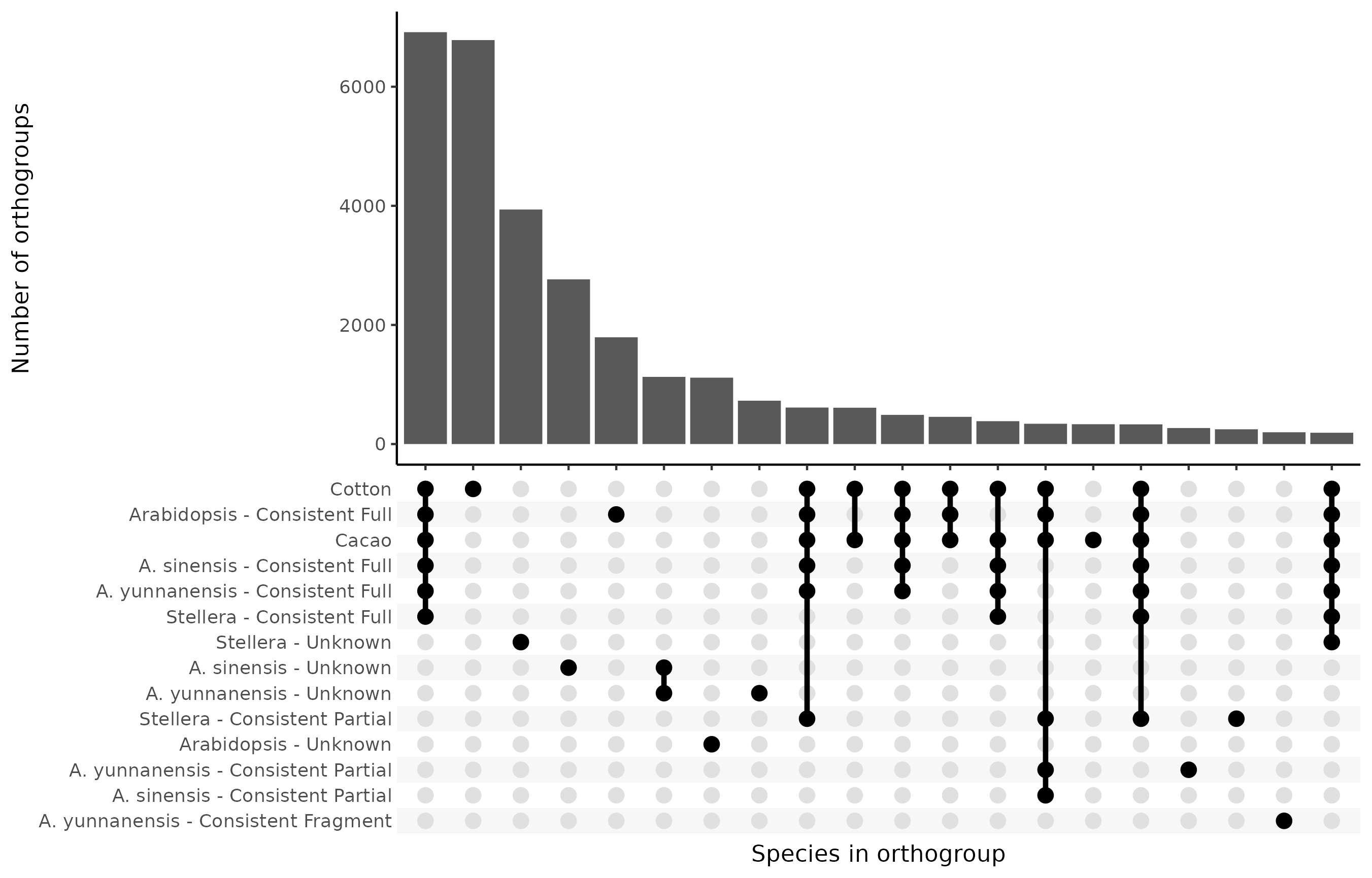 Co-occurrence of species and OMArk categories in orthogroups
