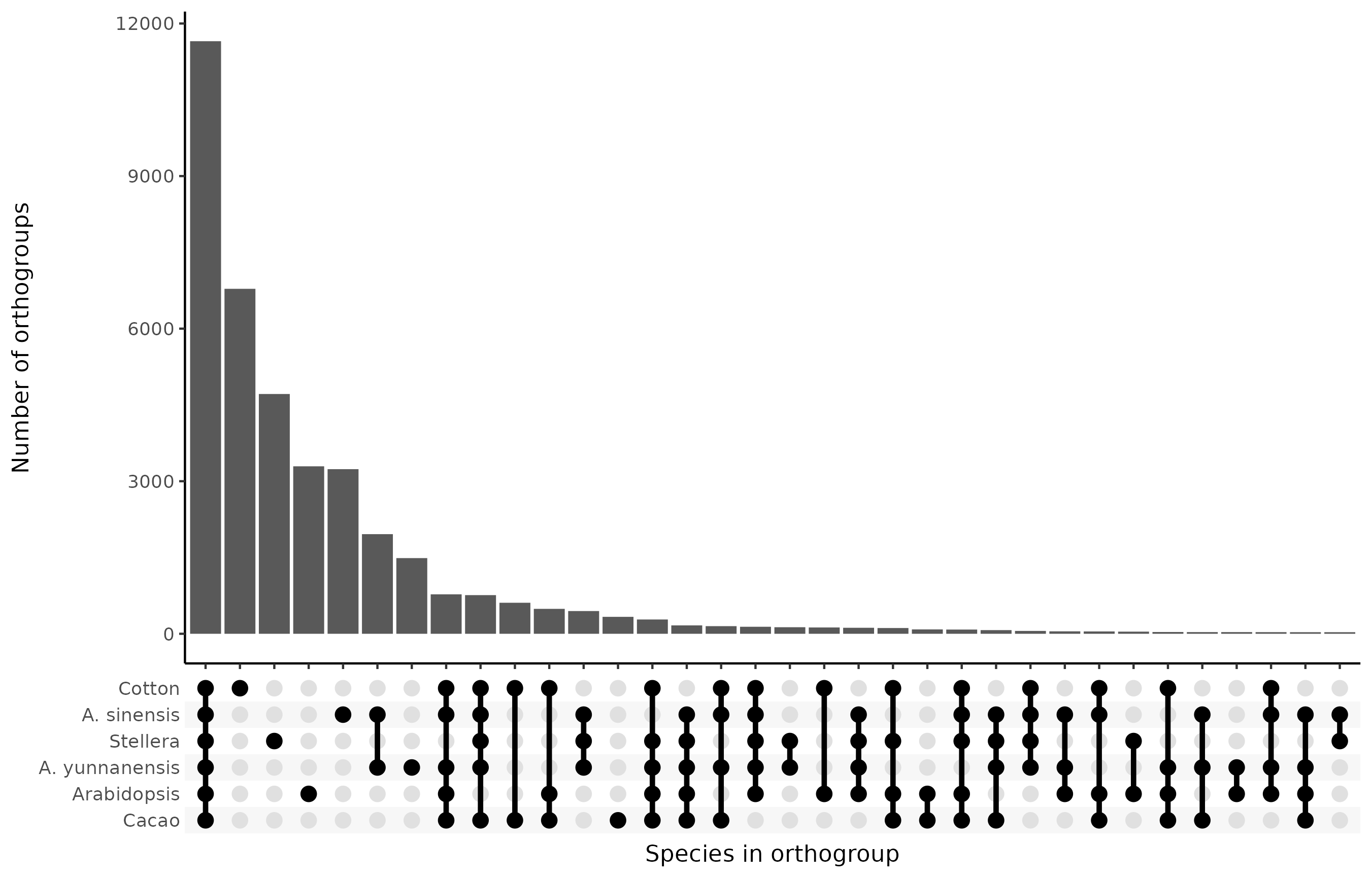 Co-occurrence of species in orthogroups