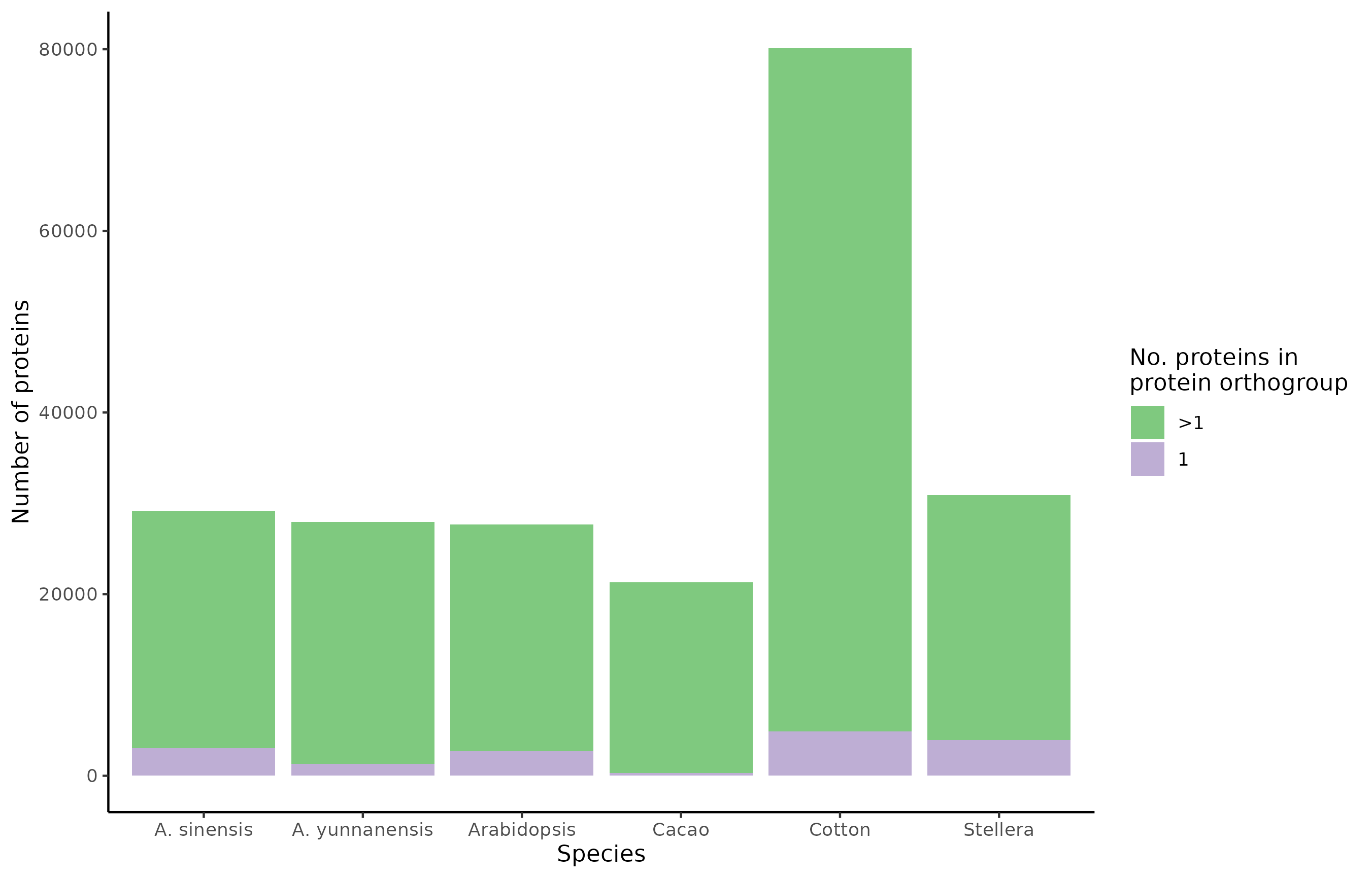 Number of proteins per species, and whether these belong to a single- or multi-protein orthogroup